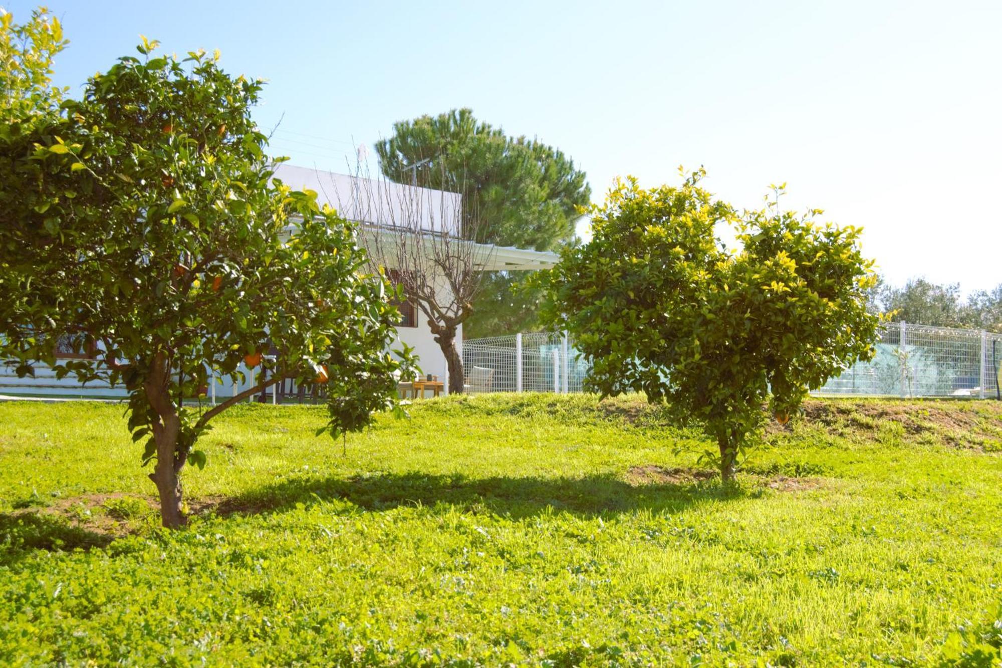 La Casa Del Carreron Montilla Exterior foto